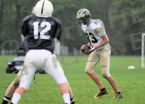 Shaw_JV074
