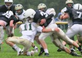 Shaw_JV005