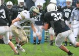 Shaw_JV008
