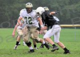 Shaw_JV009