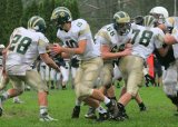 Shaw_JV016