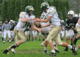 Shaw_JV017