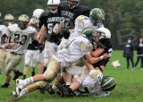Shaw_JV020