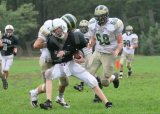 Shaw_JV028