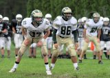 Shaw_JV029