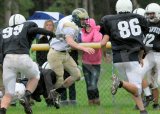 Shaw_JV030