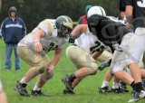 Shaw_JV031