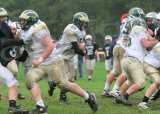 Shaw_JV034