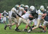 Shaw_JV035
