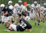 Shaw_JV041