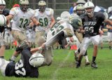Shaw_JV042