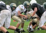 Shaw_JV043