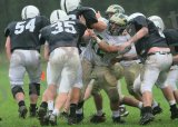 Shaw_JV060