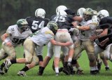 Shaw_JV061
