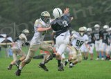Shaw_JV065