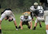Shaw_JV066