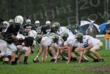 Shaw_JV067