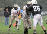 Shaw_JV078