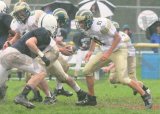 Shaw_JV084