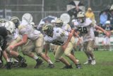 Shaw_JV085
