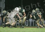 Shaw_V095