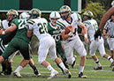 CCath_JV008
