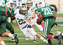CCath_JV103