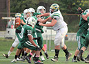 CCath_JV109