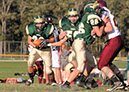 Gcath_JV066
