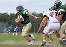 MTn_JV003