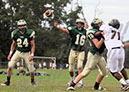 MTn_JV005