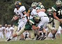 MTn_JV011