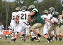 MTn_JV018