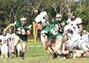 MTn_JV035