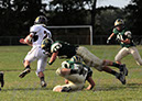 MTn_JV044