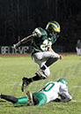 Mland_145