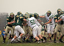 Piney_004