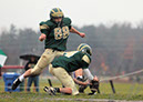Piney_026