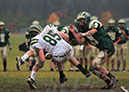 Piney_034