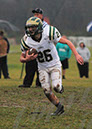 Piney_036