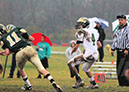 Piney_039