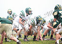Piney_074