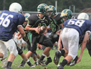 SFF_Shaw009