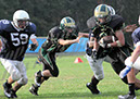 SFF_Shaw047