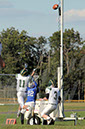 SFJV_PVI022