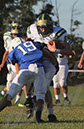 SFJV_PVI029