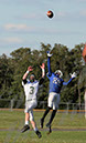 SFJV_PVI033