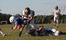 SFJV_PVI049
