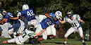 SFJV_PVI067