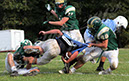 SFS_Shaw062